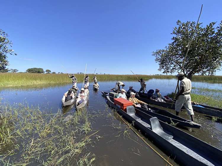 Mokoro dugout canoe exploring okavango delta channels